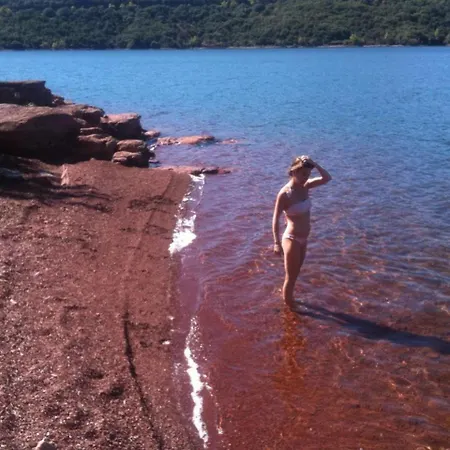 Plain-pied Avec Piscine 別荘 *